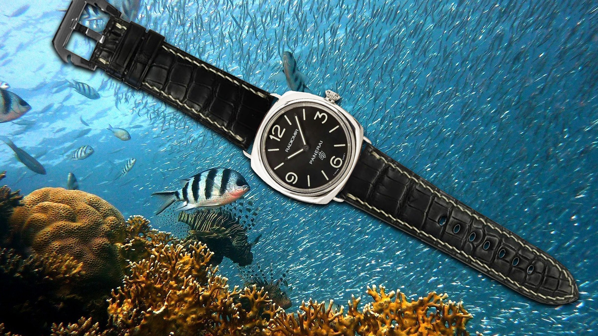 Panerai Radiomir: History, Watch Straps & Collector Style