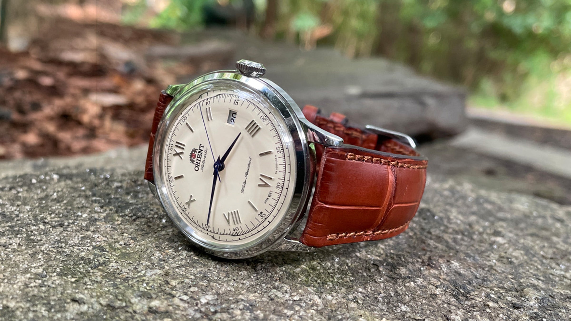 Watch Bands for Orient